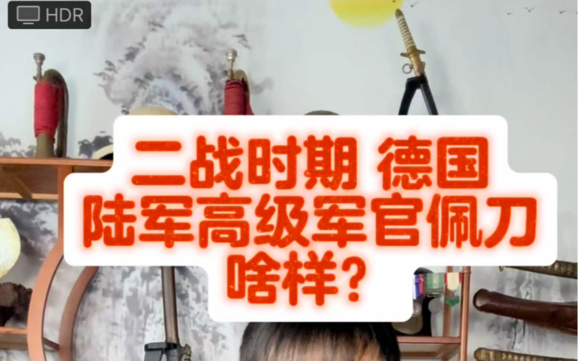 聊一聊二战德国高级军官佩刀.狮子头指挥刀什么样?德三战刀 德意志军刀哔哩哔哩bilibili