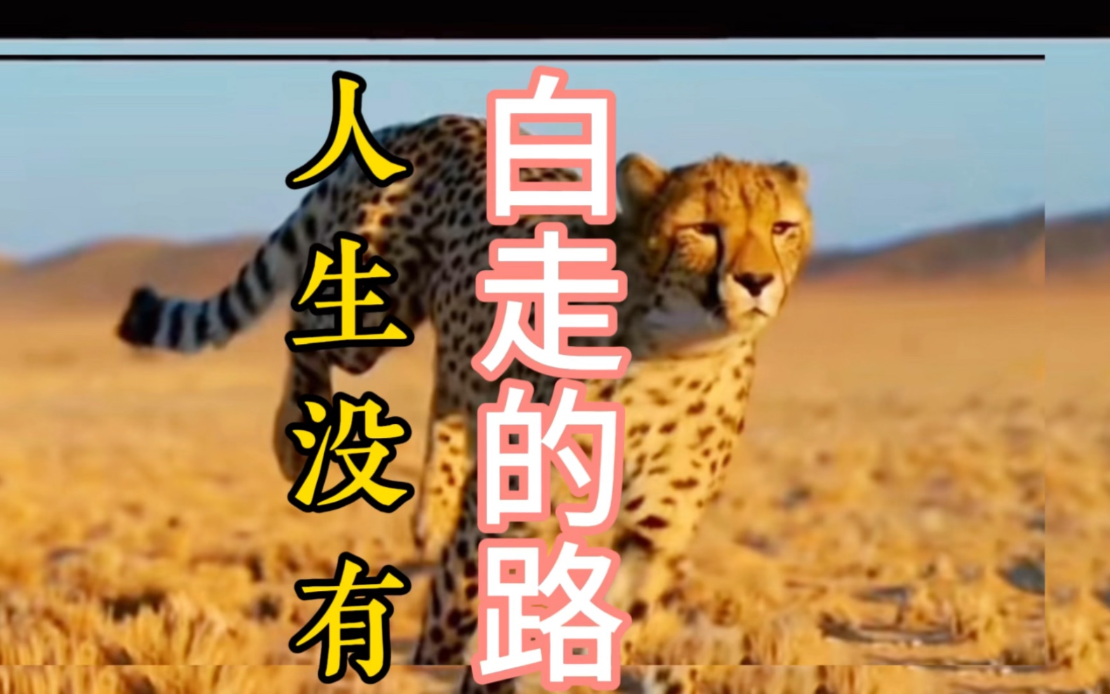 董宇辉 : 喜忧参半的才是人生 #董宇辉语录 #与辉同行 #智慧人生 #悟