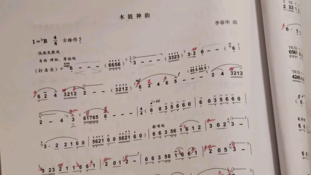 [图]《木鼓神韵》葫芦丝纯音乐