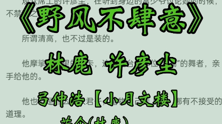 [图]【小月文楼】精彩小说《野风不肆意》林鹿许彦尘