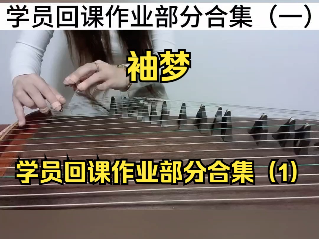 985高校张木子老师讲解古筝曲袖梦,古筝袖梦学员回课作业部分合集(1)