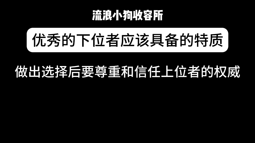 优秀的下位者应具备的素质哔哩哔哩bilibili