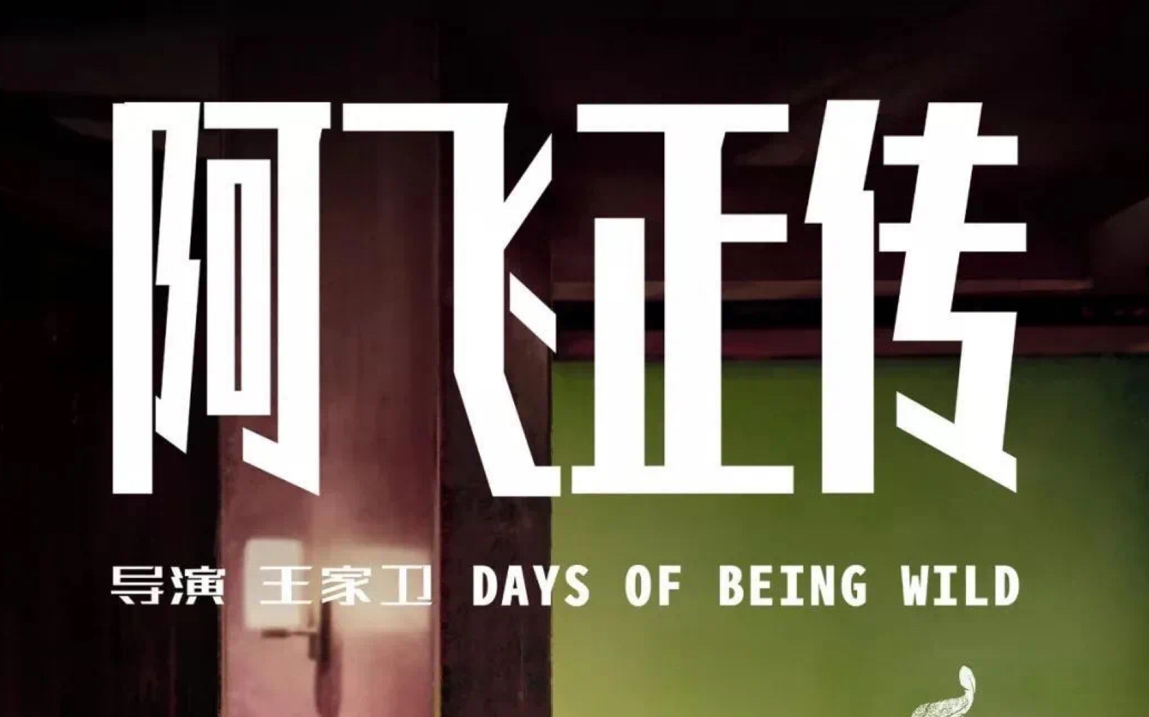 《阿飞正传》 | 再见无脚鸟"我听别人说这世界上有一种鸟是没有脚的