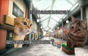 Download Video: 【猫meme】关于我留学第一天独自走到黑帮贫民区的故事