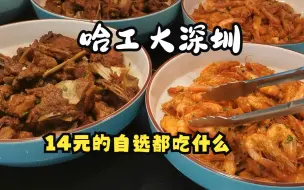 Descargar video: 哈工大深圳食堂自选都在吃啥（