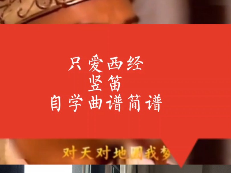 只爱西经,竖笛,自学简谱.tvb 版西游记主题曲哔哩哔哩bilibili