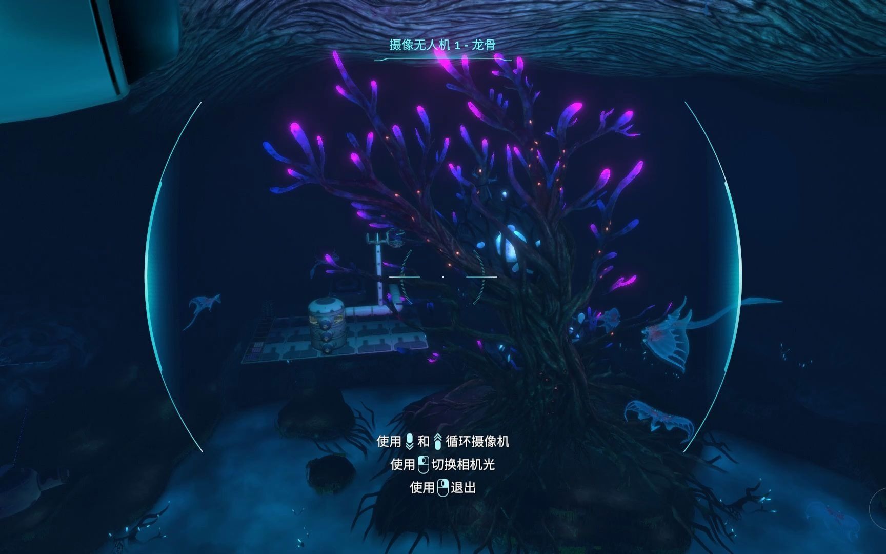 【深海迷航】再见了,生命之树