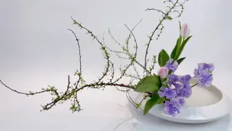 第十一课小原流色彩盛花倾斜式 这个作品有点辣 哔哩哔哩 Bilibili