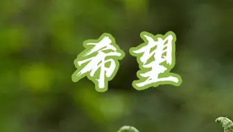 【原创】【延时摄影】每天来看一颗植物#万物皆有光
