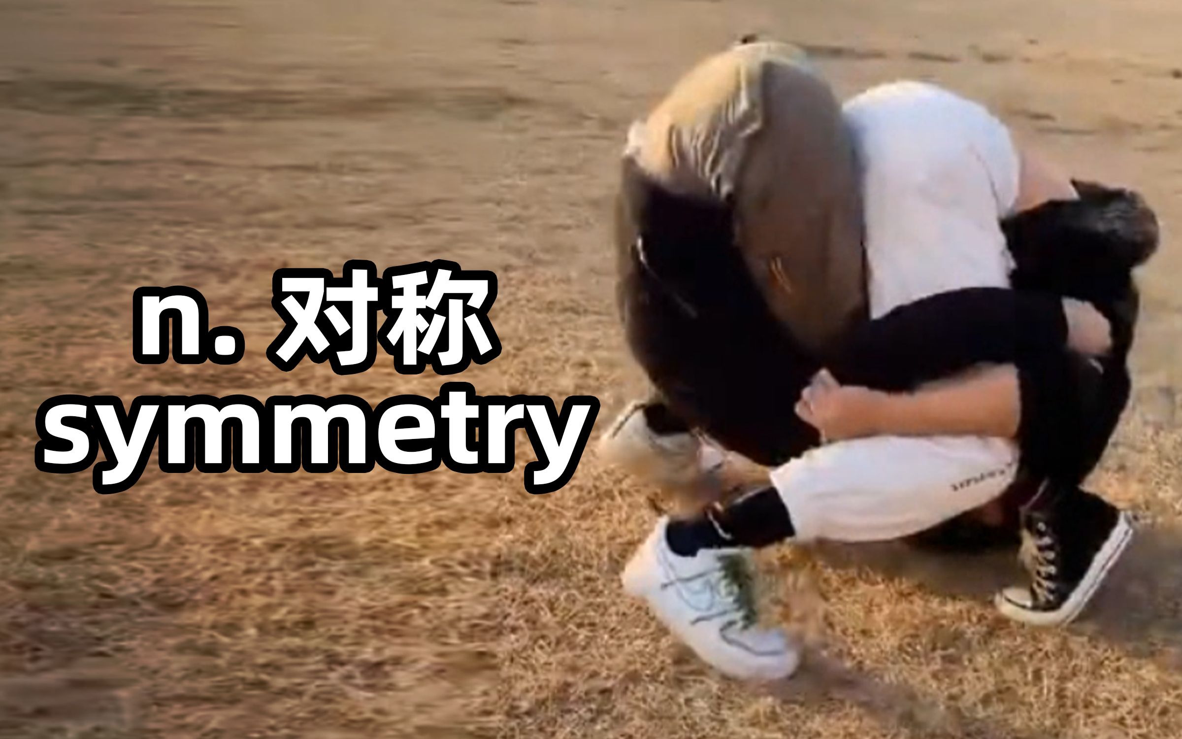 《 对 称 美 学 》 symmetry:对称哔哩哔哩bilibili