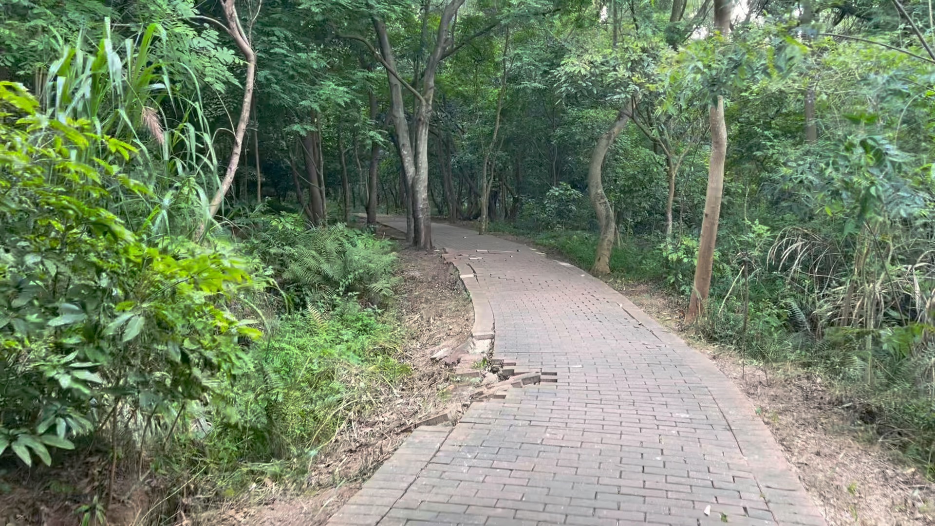 深圳坂田小众夏日避暑胜地南坑水库