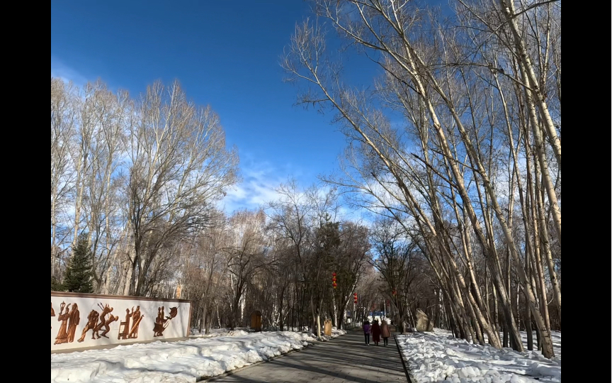 初春的桦林公园