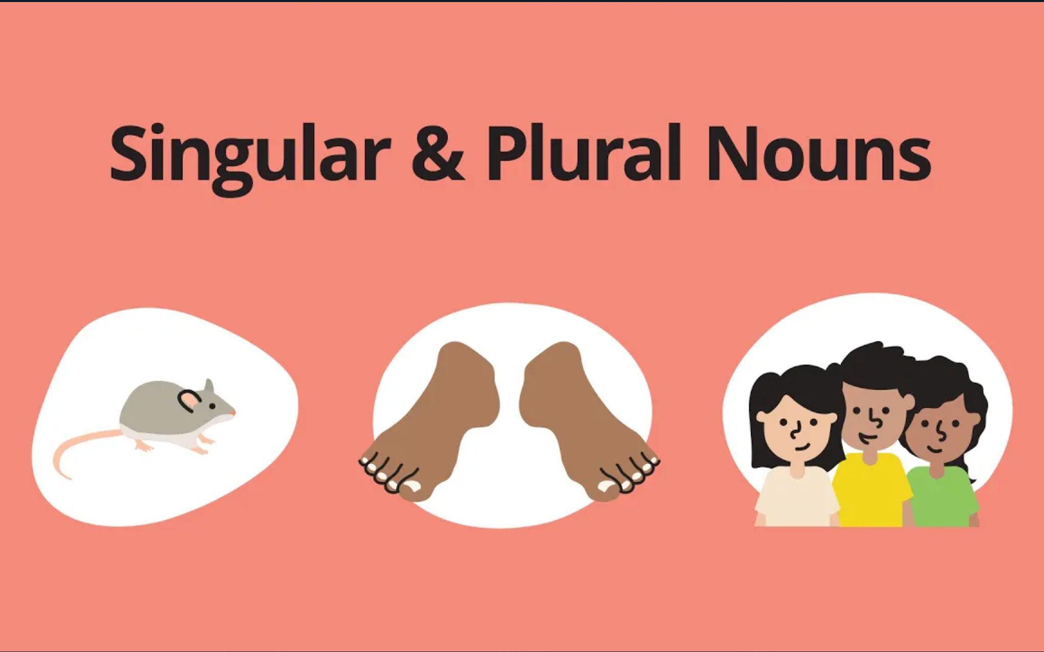 【Grammar Ellii】语法知识点 名词单复数形式「Singular  Plural Nouns」|语法课哔哩哔哩bilibili