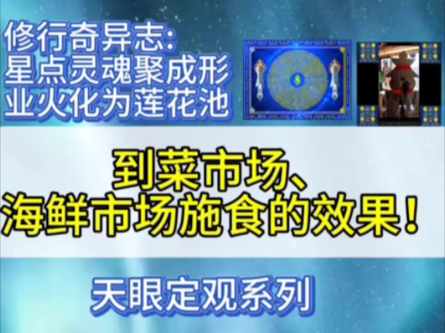 【行愿阁 修行奇异志】到菜市海鲜市场施食效果揭秘!哔哩哔哩bilibili