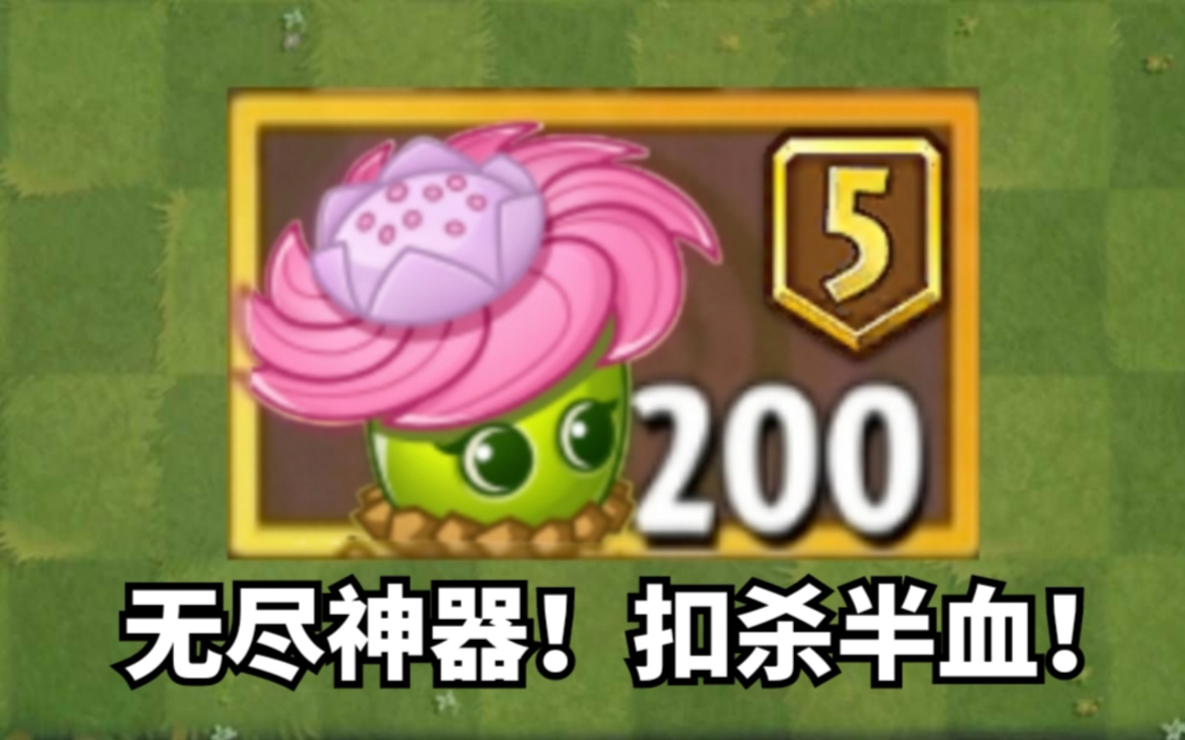 5阶地锯草测评!扣杀到半血的功能真的是天空无尽神器吗?PVZ