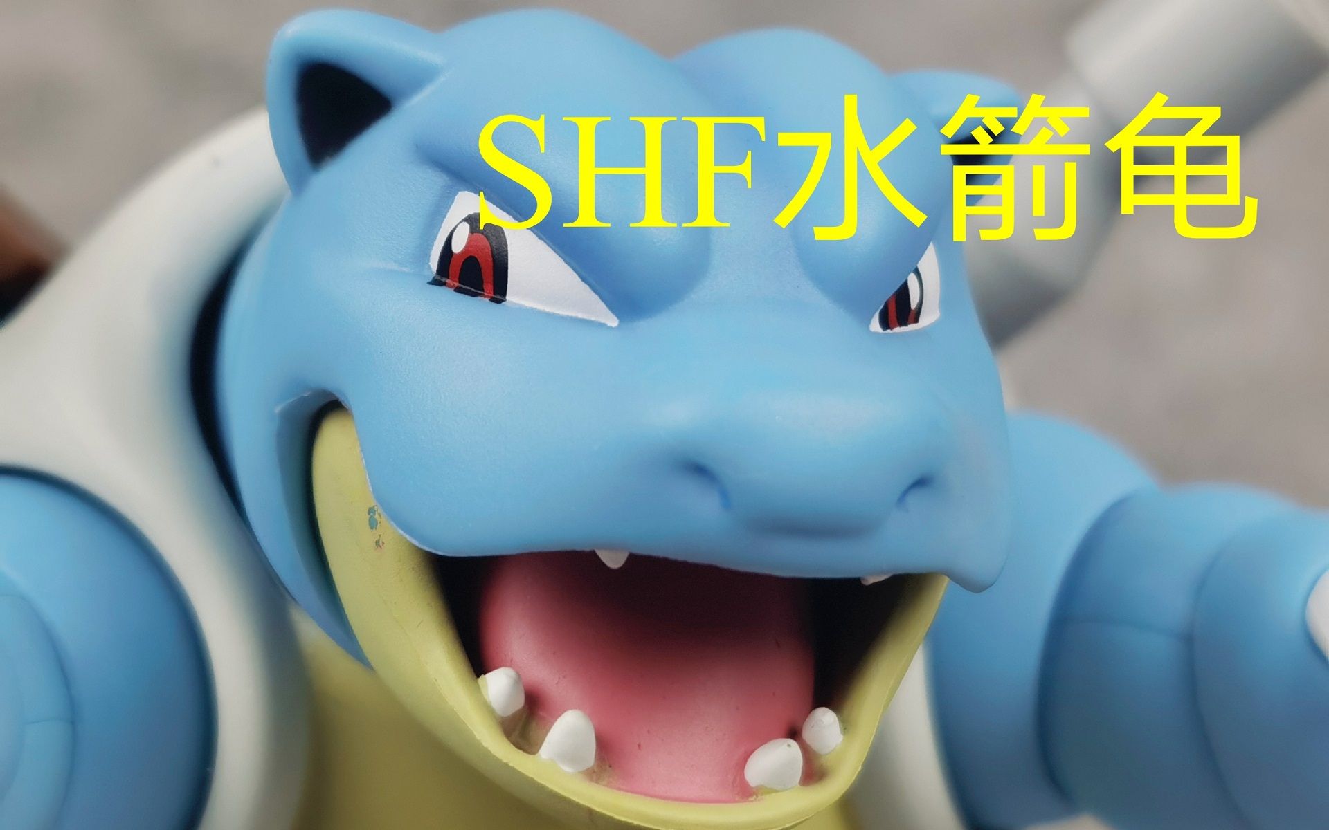 精灵宝可梦口袋妖怪shf水箭龟分享