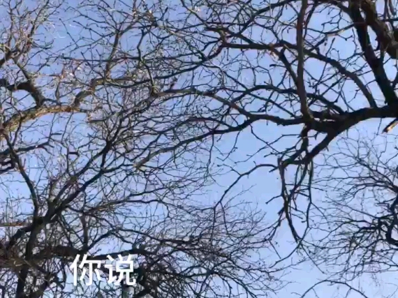 阿志是我✌️哔哩哔哩bilibili