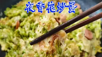 師奶仔廚房 夜香花杞子肉片湯清肝明目能幫助眼乾眼澀症狀 哔哩哔哩 Bilibili