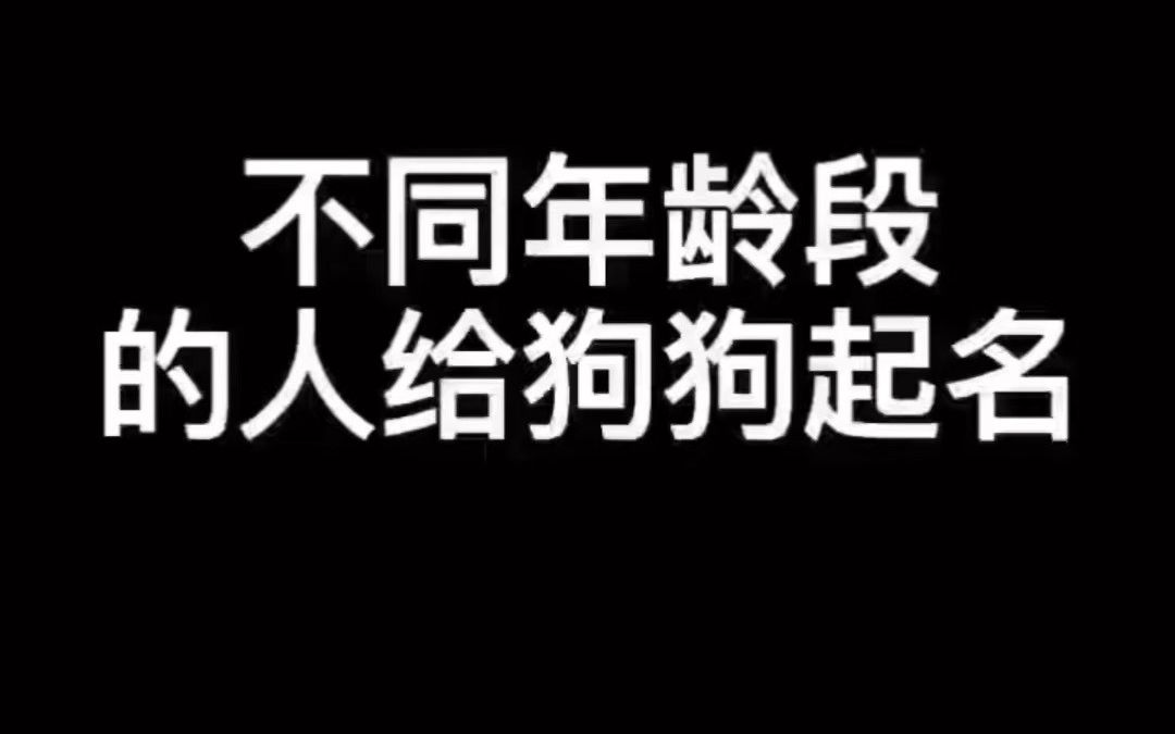 不同年龄段怎样给狗狗取名?你给狗狗取过这样的名字吗?哔哩哔哩bilibili