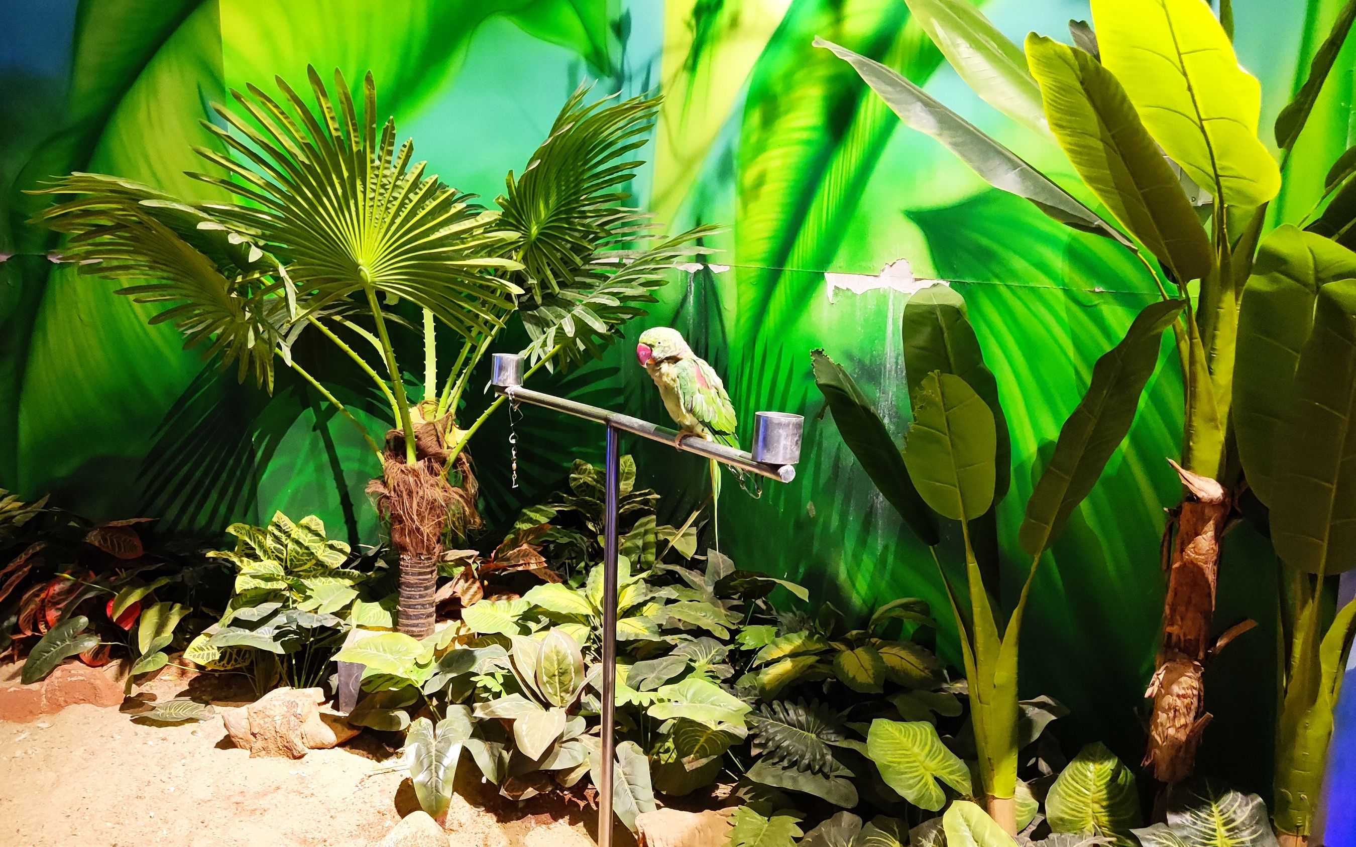 天津有个动物园建在商场里,里面好多萌萌的小动物,票价110元一位感觉