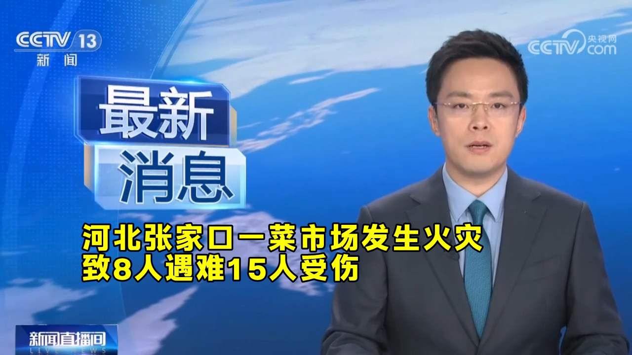 河北张家口一菜市场发生火灾 致8人遇难15人受伤哔哩哔哩bilibili