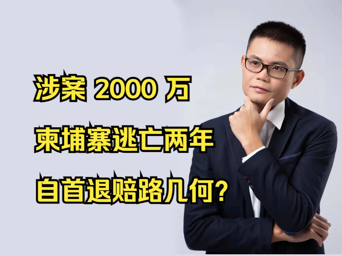 涉案 2000 万柬埔寨逃亡两年自首退赔路几何?哔哩哔哩bilibili