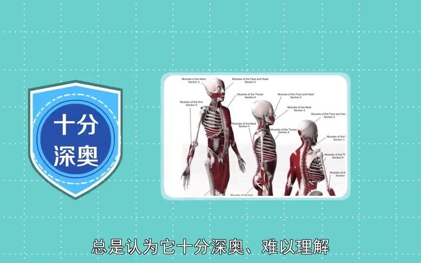 [图]3d人体解剖图-瞬间读懂人体解剖学