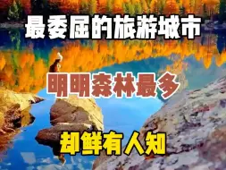 Скачать видео: 中国最委屈的旅游城市，明明是我国森林最多的城市却鲜有人知，它还有一个浪漫的名字叫伊春