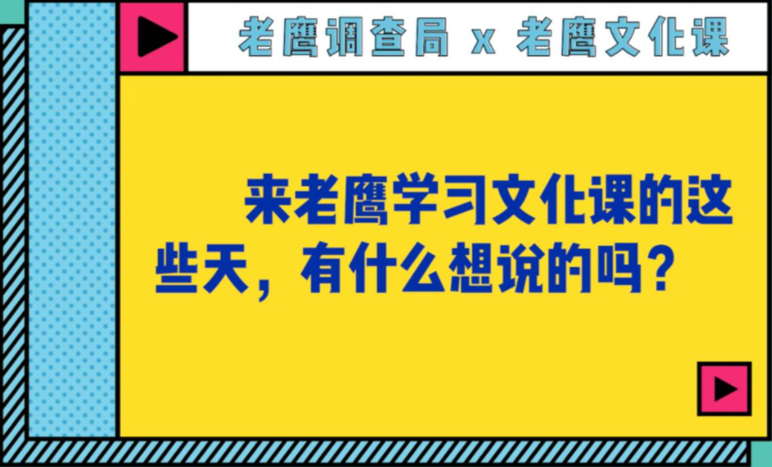 老鹰调查局 | 老鹰文化课街采 美术生冲刺营哔哩哔哩bilibili