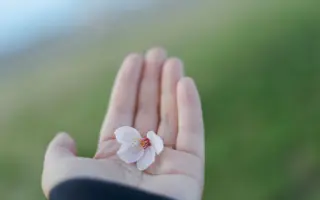 稻田堤 哔哩哔哩 Bilibili