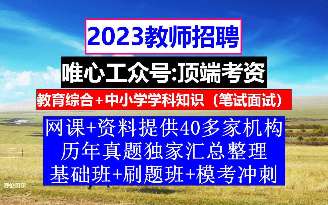 教师招聘,教师招聘考察表填写模板,教师资格网上报名系统哔哩哔哩bilibili