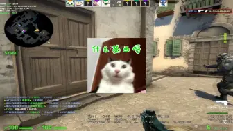 【CSGO翻车小队#2】什么登西呀