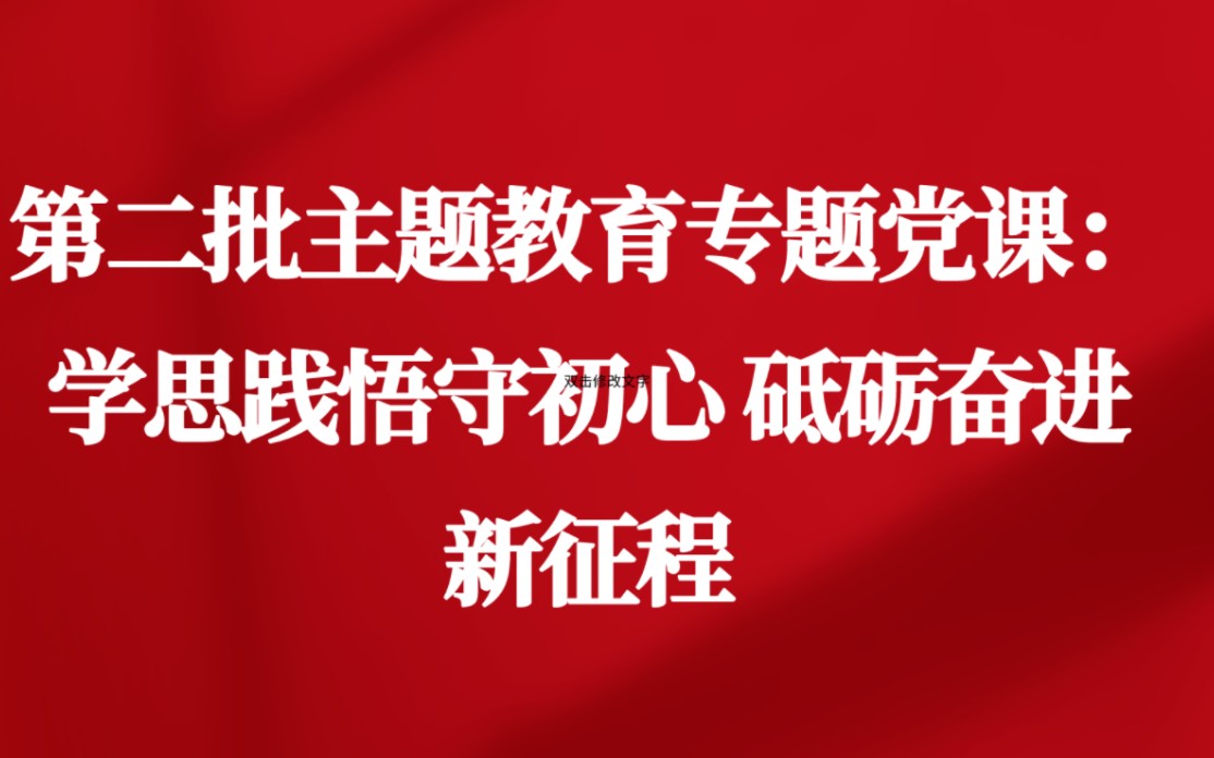 第二批主题教育专题党课:学思践悟守初心 砥砺奋进新征程哔哩哔哩bilibili