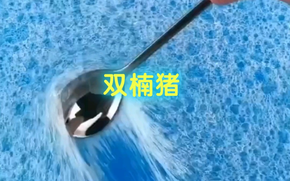 偏执甜甜哔哩哔哩bilibili