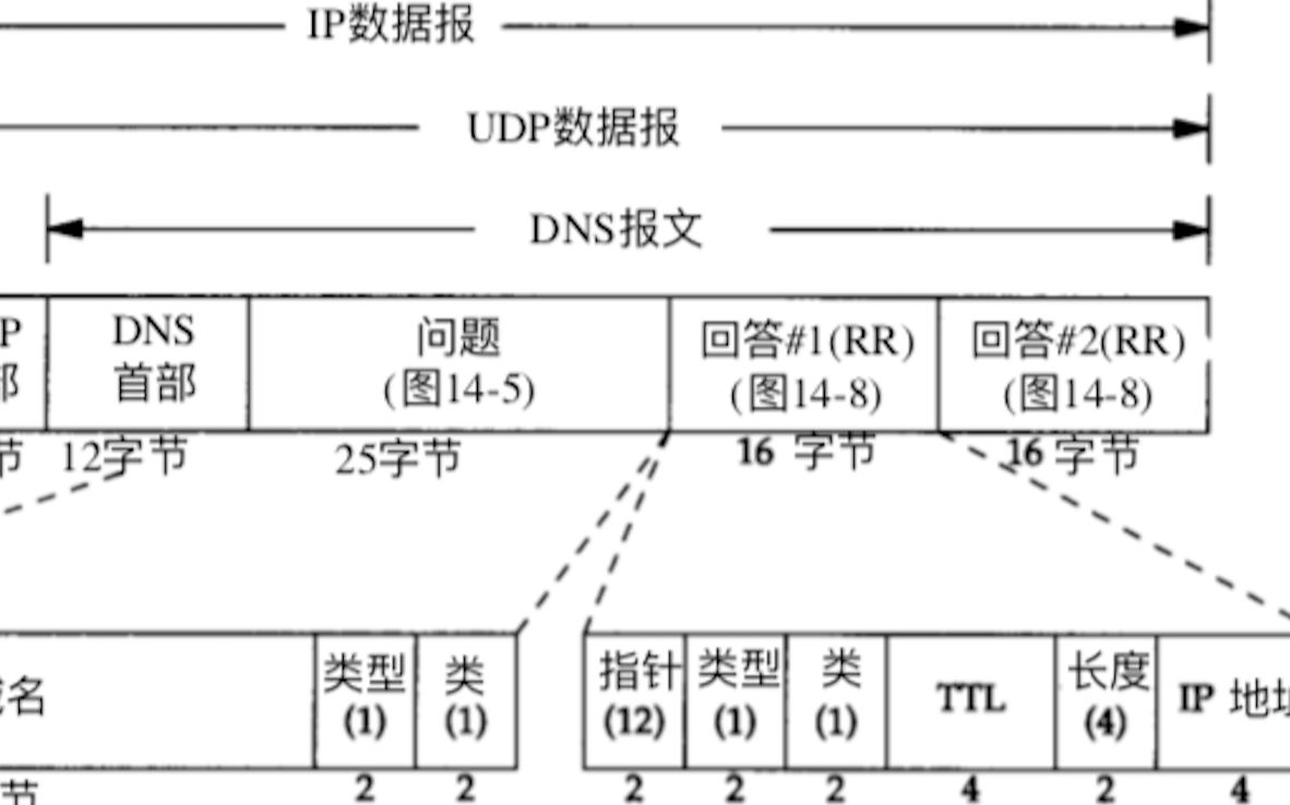 DNS查询nameserver,用WireShark检查DNS报文,Python编程哔哩哔哩bilibili