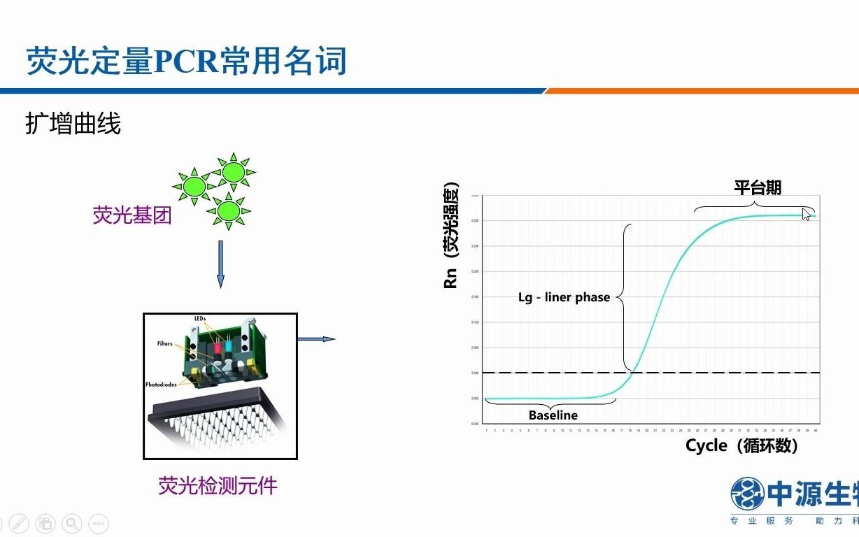 荧光定量PCR技术及相关产品介绍哔哩哔哩bilibili