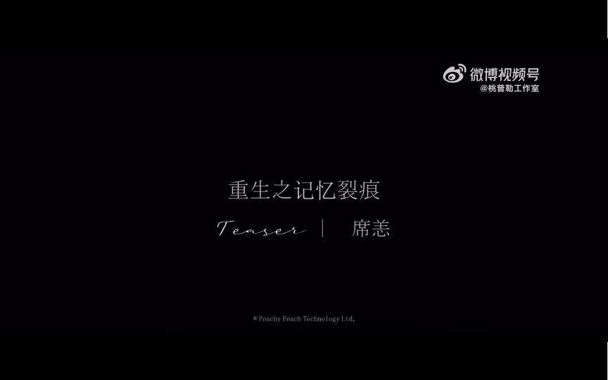 重生之记忆裂痕第二季