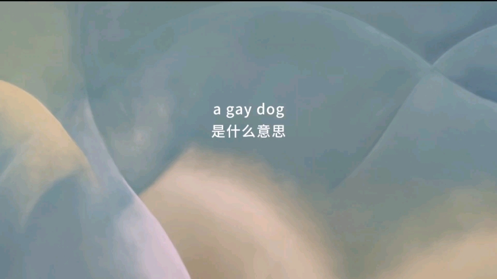 a gay dog 是什么意思哔哩哔哩bilibili