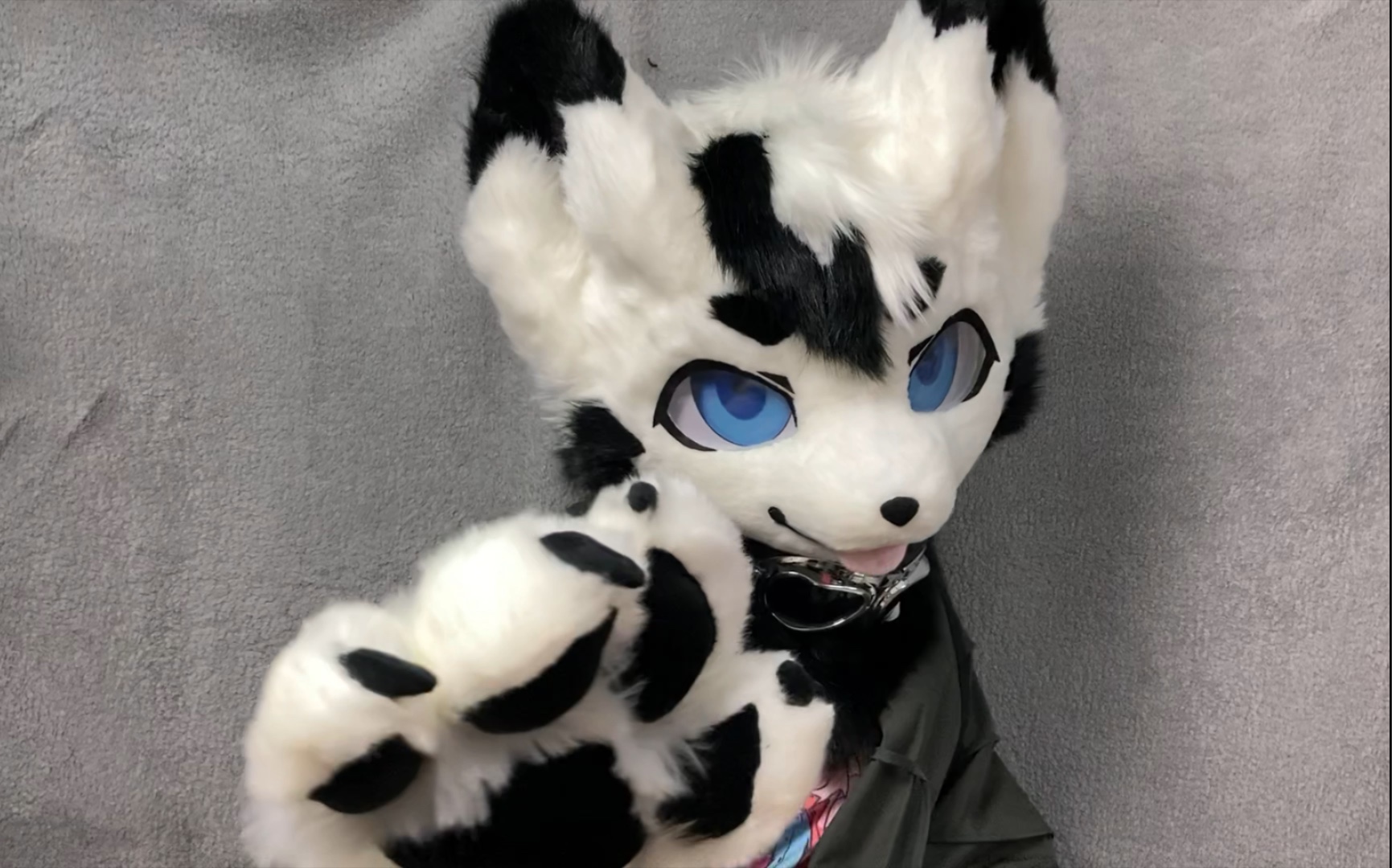 fursuit制作薰月
