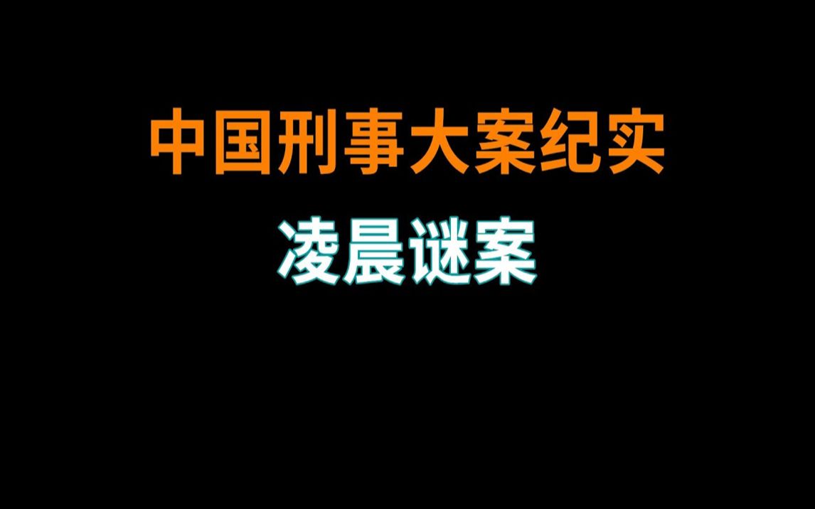 [图]凌晨谜案 - 中国刑事大案纪实 - 刑事案件要案记录