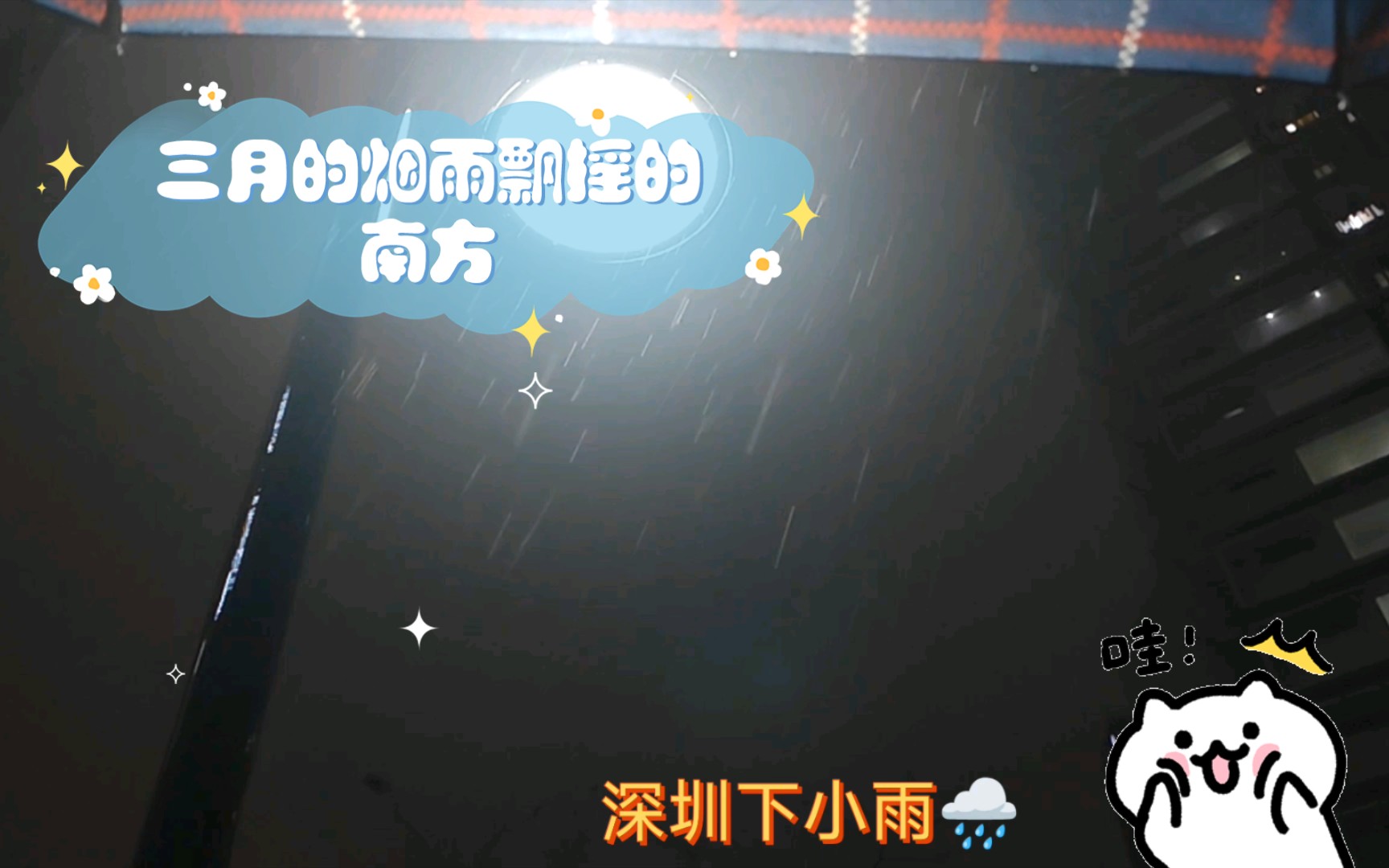 三月的烟雨,飘摇的南方.哔哩哔哩bilibili