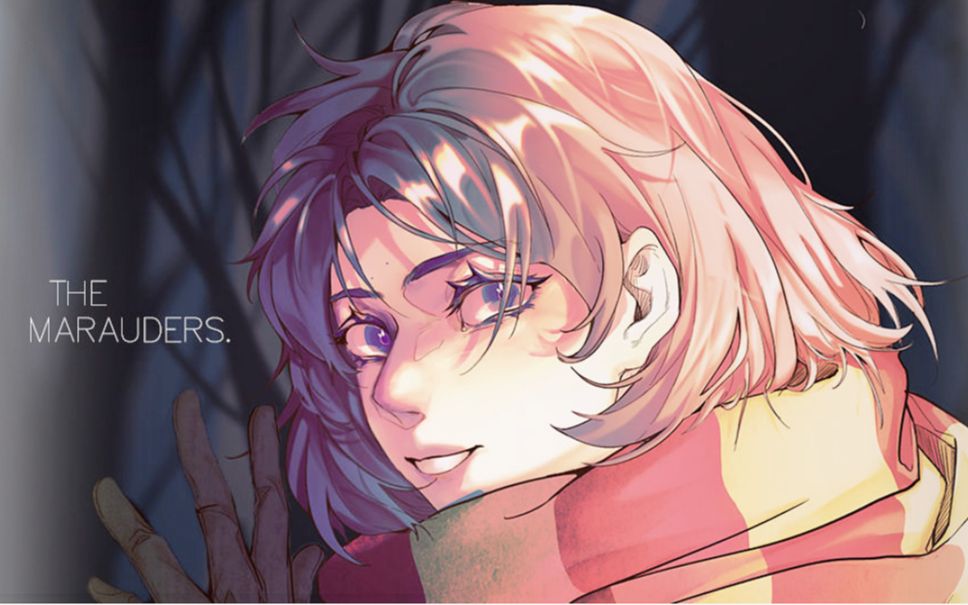 【hp】掠夺者们.亲世代.