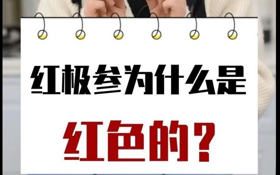 海参揭秘红极参为什么是红色的?哔哩哔哩bilibili