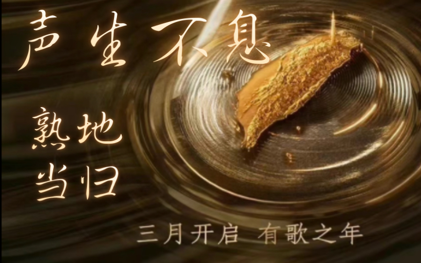 【声生不息海报】熟地当归.|永远可以相信芒果台的审美.