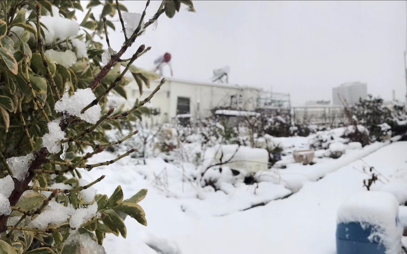 祖国各地雪景大盘点!快看有你的家乡吗?哔哩哔哩bilibili