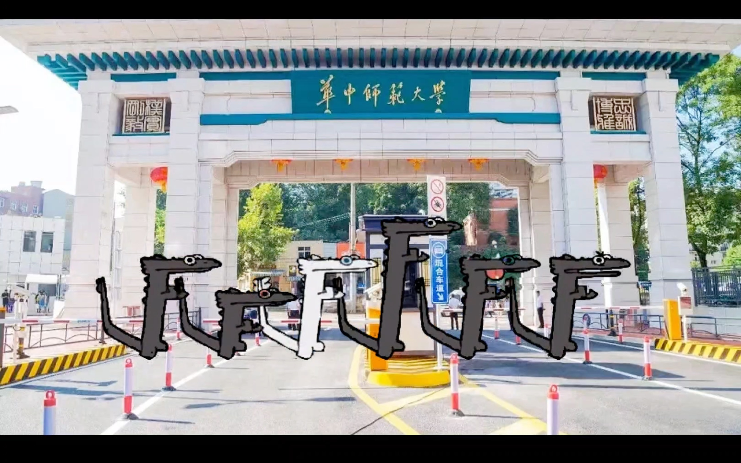 【华中师范大学】龙腾虎跃展新篇,无牙仔在华师陪你过龙年!