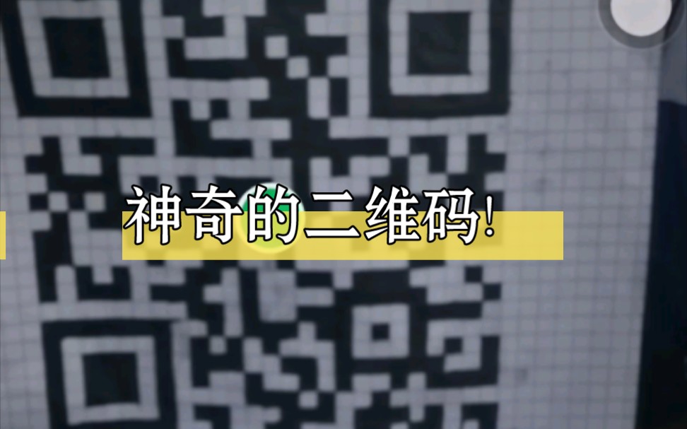 学生自制二维码!识别出惊喜!那就祝今天(五月十八和三月二十九)生日的娃娃们生日快乐呀!哔哩哔哩bilibili