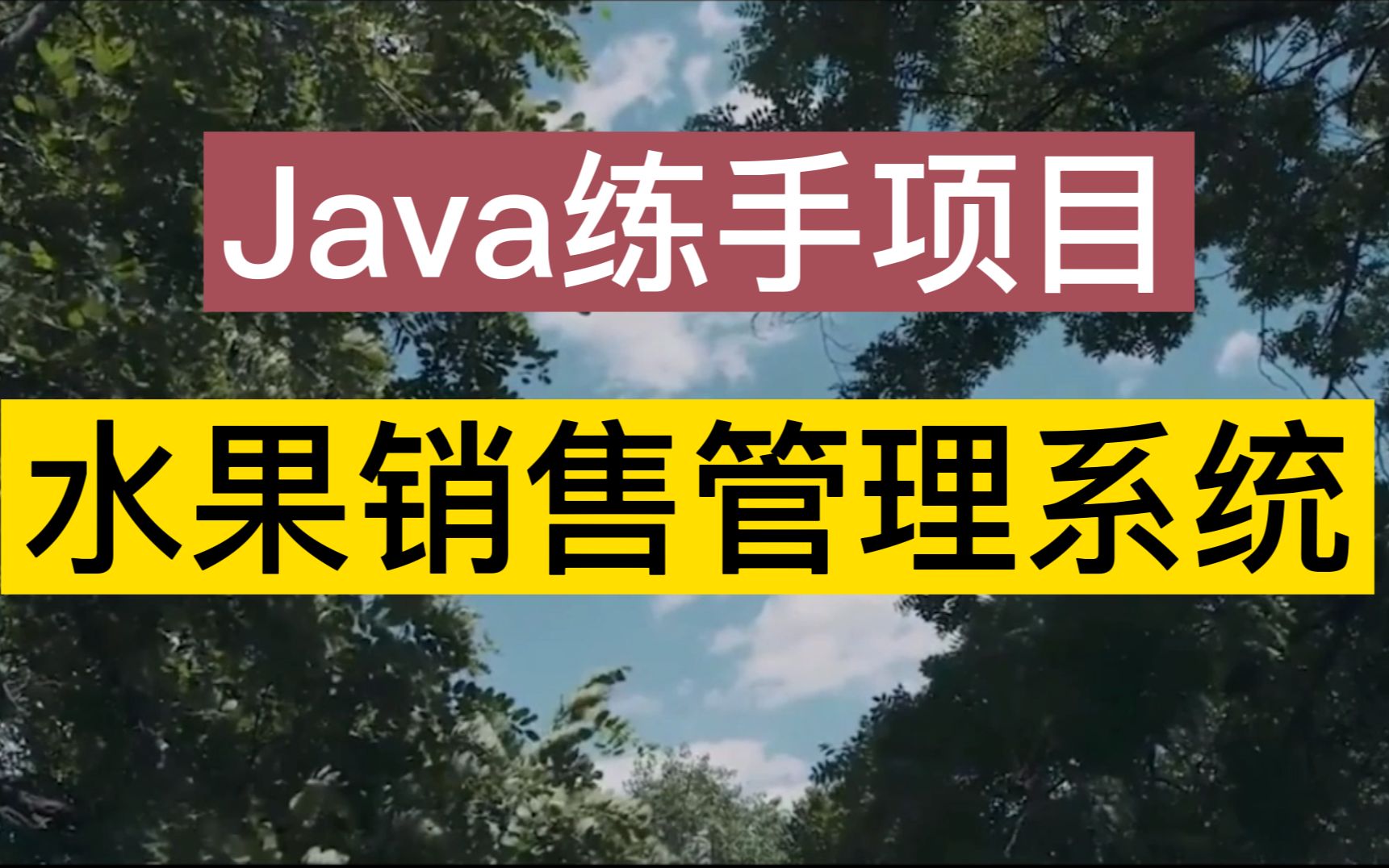 【Java练手项目】基于Java做一个水果销售管理系统(已开源)哔哩哔哩bilibili