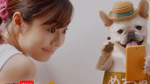 石原さとみが 猫ガルボ キュートすぎるアドリブ11連発 Web限定動画 ガルボミニ食べ方講座 哔哩哔哩 Bilibili