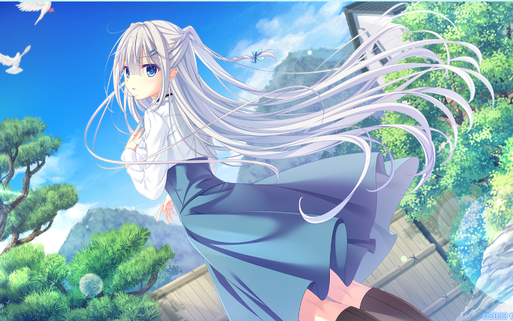 c.5 ～ダ・カーポ5～》